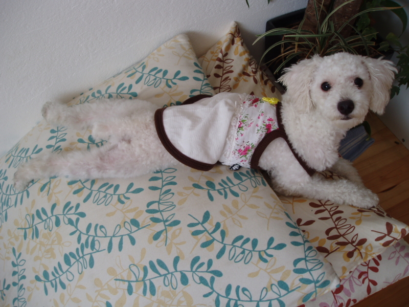f:id:reeyan:20100709141020j:image f:id:reeyan:20100709141020j:image