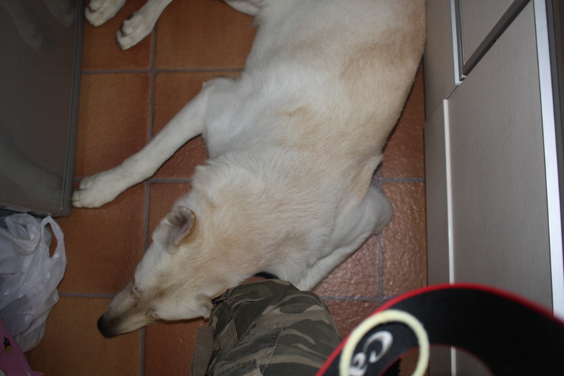 f:id:reeyan:20100913123618j:image f:id:reeyan:20100913123618j:image
