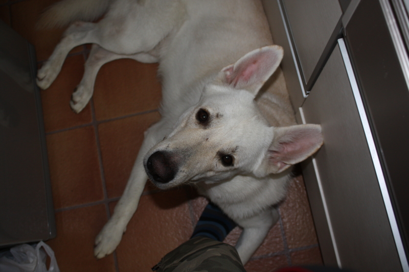 f:id:reeyan:20100913123945j:image f:id:reeyan:20100913123945j:image