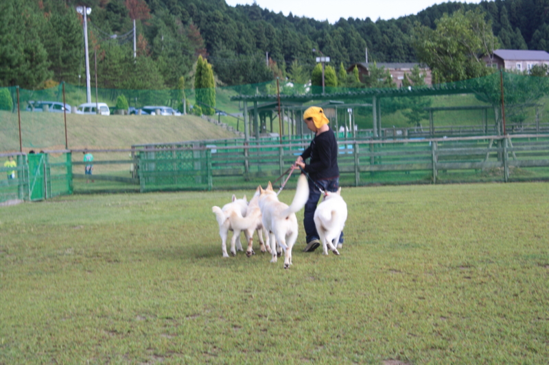f:id:reeyan:20100918153723j:image