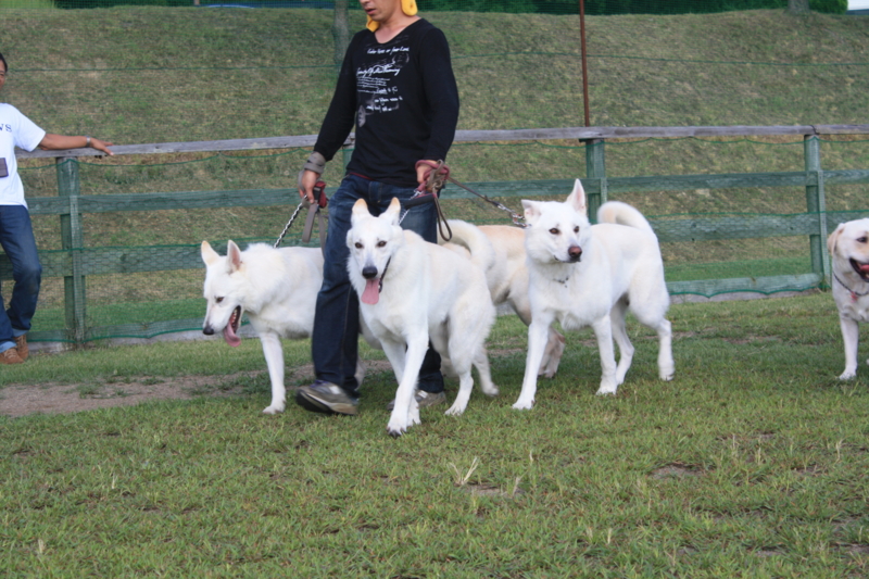 f:id:reeyan:20100918154030j:image
