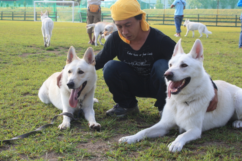 f:id:reeyan:20100918154150j:image