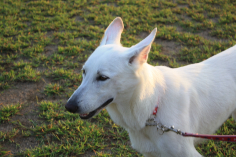 f:id:reeyan:20100918173230j:image