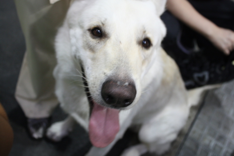 f:id:reeyan:20100919142450j:image