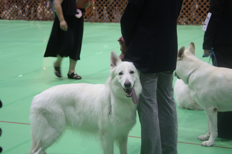 f:id:reeyan:20100919143255j:image
