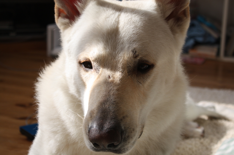 f:id:reeyan:20101218115750j:image
