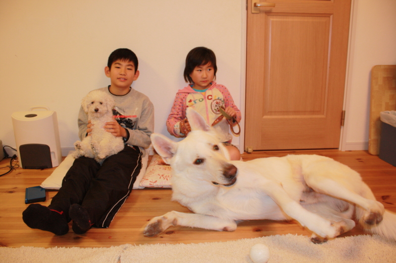 f:id:reeyan:20101218213300j:image f:id:reeyan:20101218213300j:image