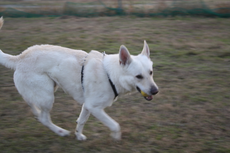 f:id:reeyan:20101226083320j:image f:id:reeyan:20101226083320j:image