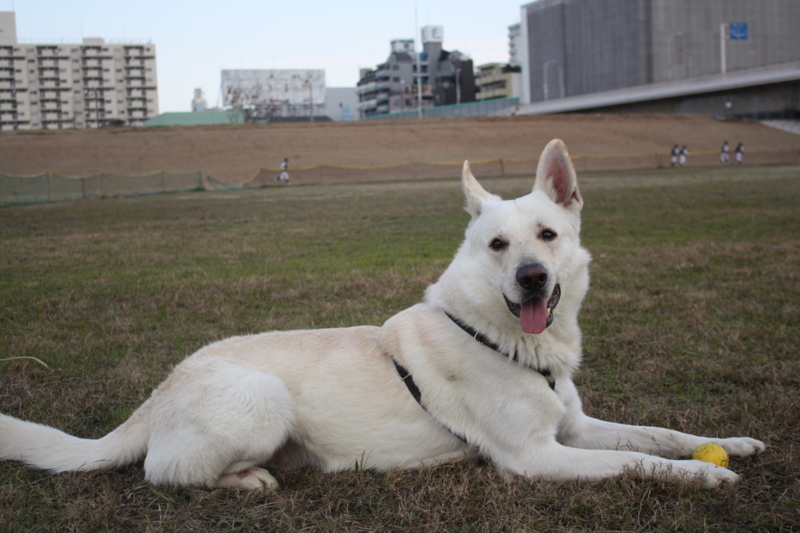 f:id:reeyan:20101226083610j:image f:id:reeyan:20101226083610j:image