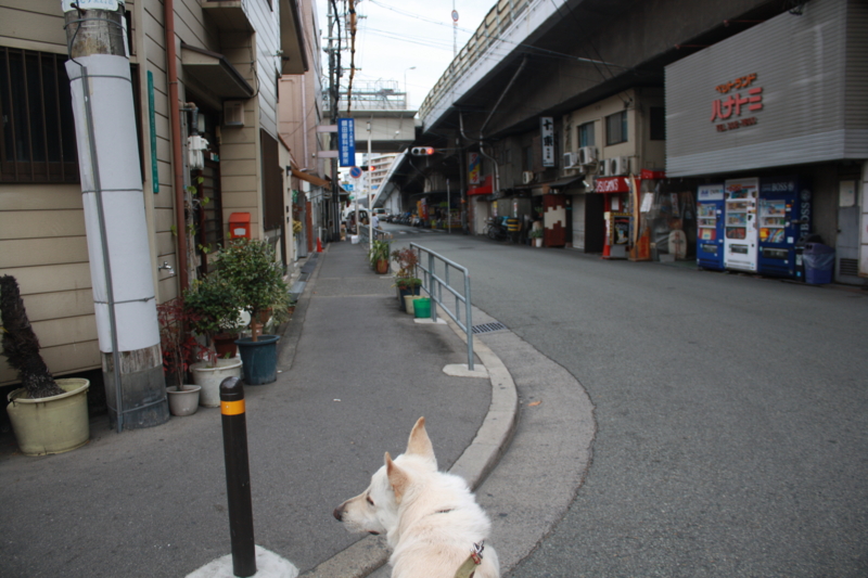 f:id:reeyan:20101226093213j:image f:id:reeyan:20101226093213j:image