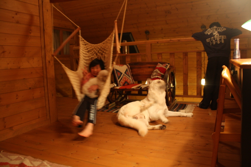 f:id:reeyan:20110108180250j:image f:id:reeyan:20110108180250j:image