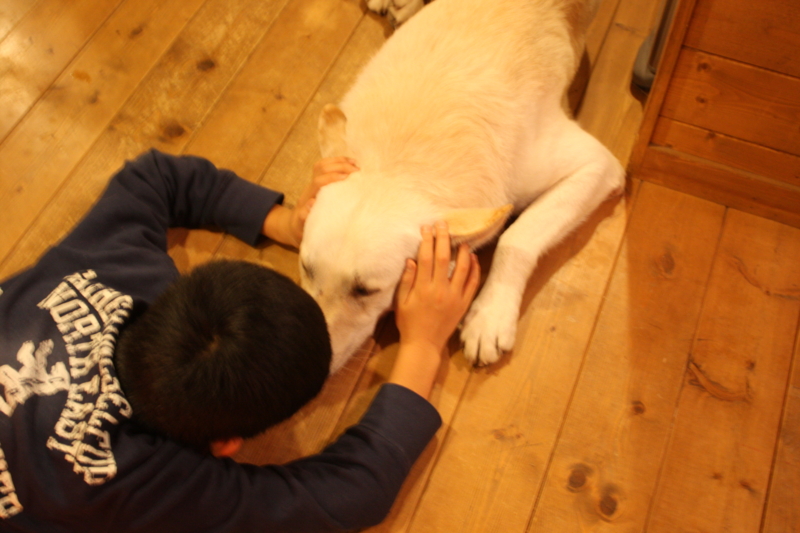 f:id:reeyan:20110108220529j:image f:id:reeyan:20110108220529j:image