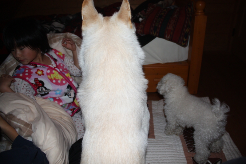 f:id:reeyan:20110108235005j:image f:id:reeyan:20110108235005j:image