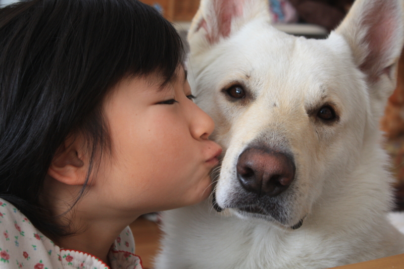 f:id:reeyan:20110116123117j:image