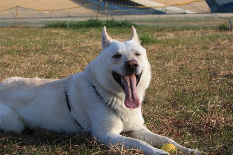 f:id:reeyan:20110305081415j:image