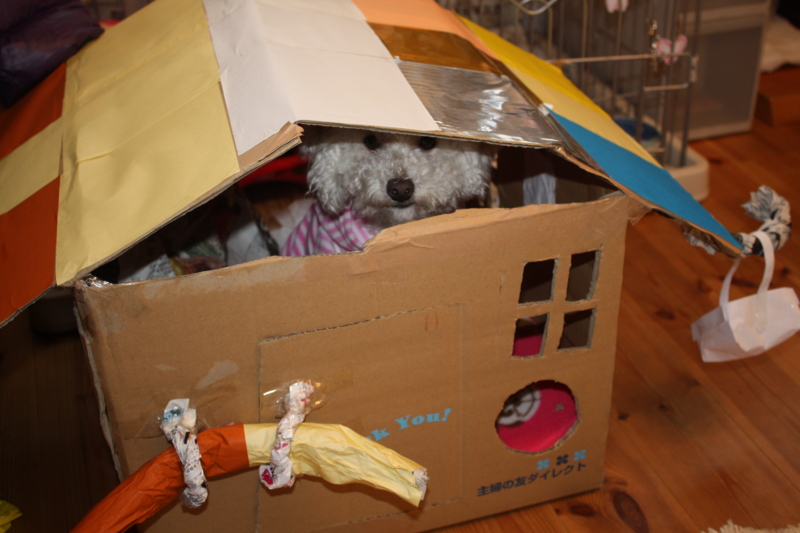 f:id:reeyan:20110321110552j:image