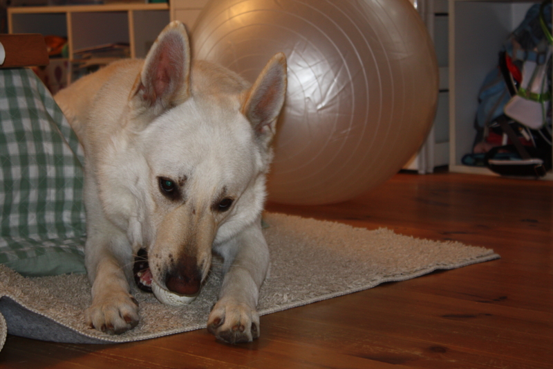 f:id:reeyan:20110321110623j:image