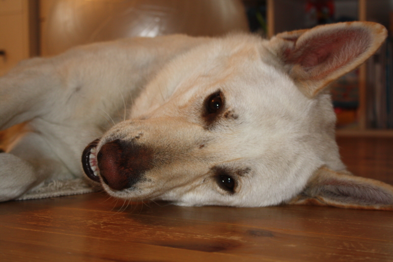 f:id:reeyan:20110321110652j:image