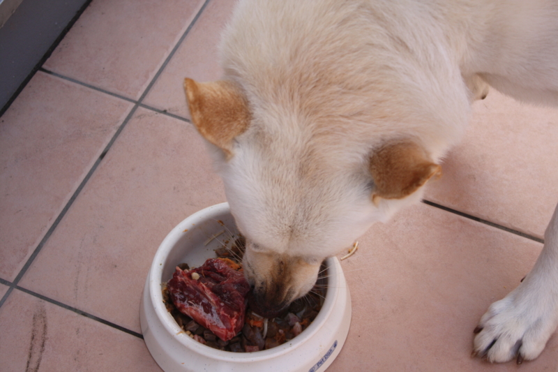 f:id:reeyan:20110322090532j:image