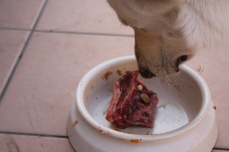 f:id:reeyan:20110322090705j:image