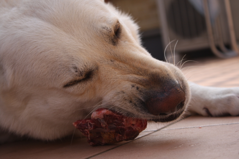 f:id:reeyan:20110322090831j:image