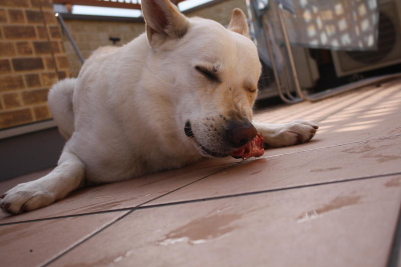 f:id:reeyan:20110322090847j:image