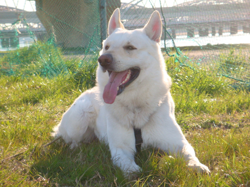 f:id:reeyan:20110404072750j:image