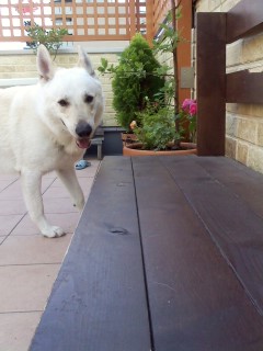 f:id:reeyan:20110514155044j:image