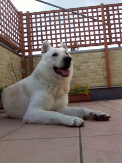 f:id:reeyan:20110514155103j:image