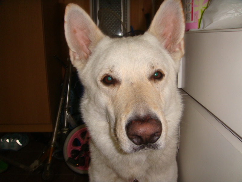 f:id:reeyan:20110612200516j:image f:id:reeyan:20110612200516j:image