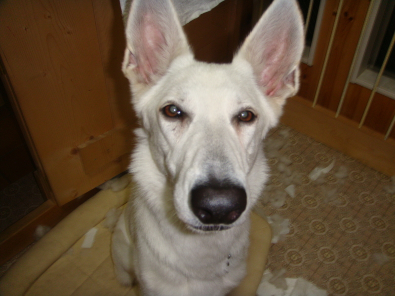 f:id:reeyan:20110612200545j:image f:id:reeyan:20110612200545j:image