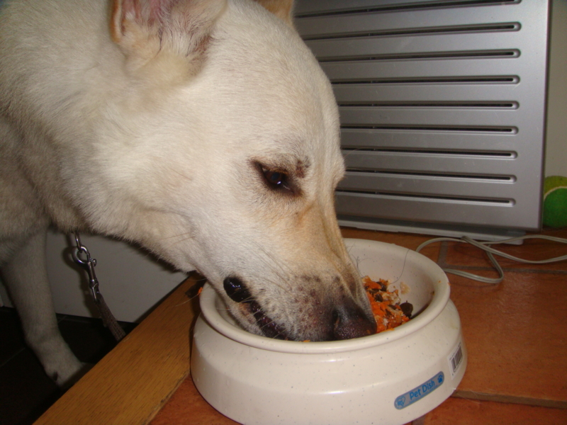 f:id:reeyan:20110612200604j:image f:id:reeyan:20110612200604j:image