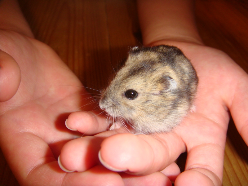 f:id:reeyan:20110701223614j:image f:id:reeyan:20110701223614j:image