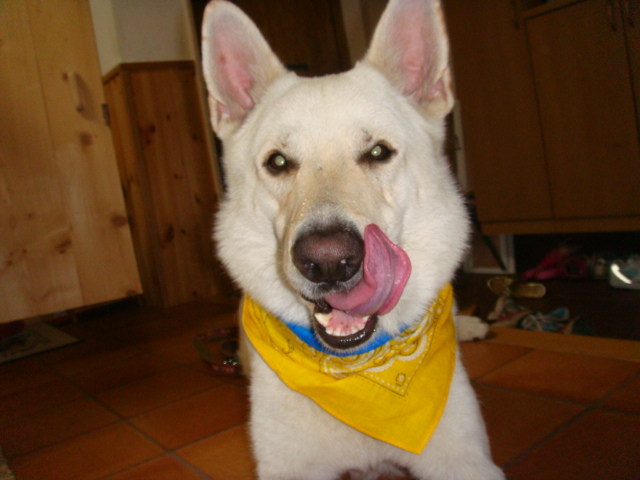 f:id:reeyan:20110708220535j:image f:id:reeyan:20110708220535j:image
