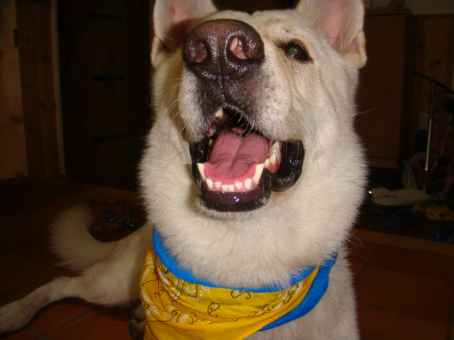 f:id:reeyan:20110708220705j:image f:id:reeyan:20110708220705j:image