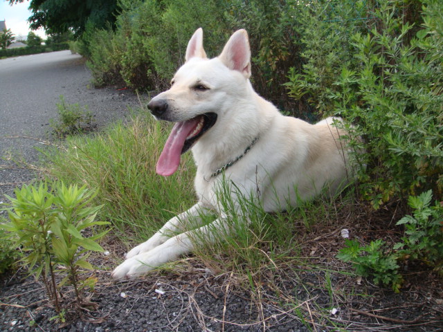 f:id:reeyan:20110709064756j:image