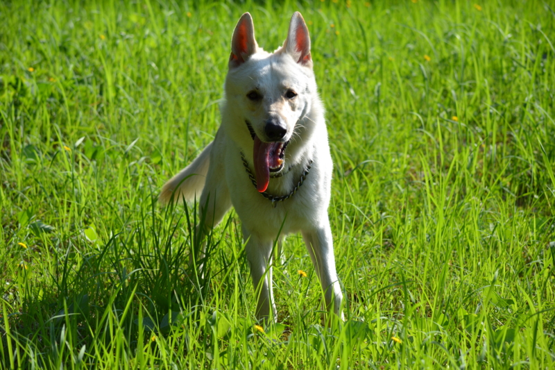 f:id:reeyan:20110720185718j:image