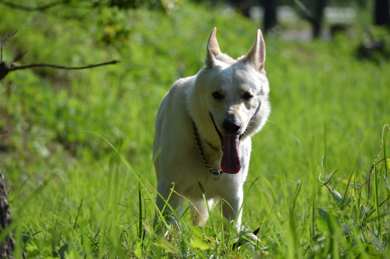 f:id:reeyan:20110720190054j:image