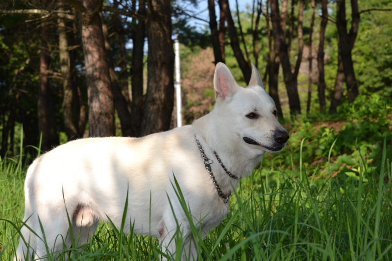 f:id:reeyan:20110720190432j:image