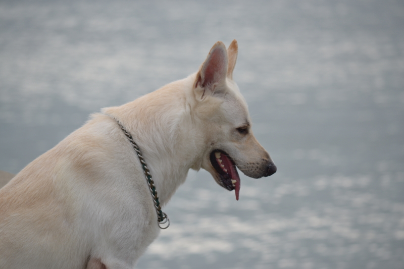 f:id:reeyan:20110724091244j:image f:id:reeyan:20110724091244j:image