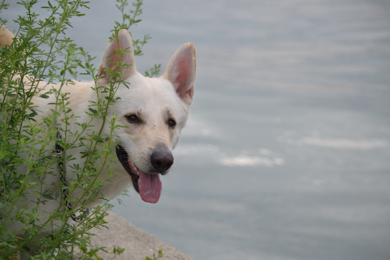 f:id:reeyan:20110724091302j:image f:id:reeyan:20110724091302j:image