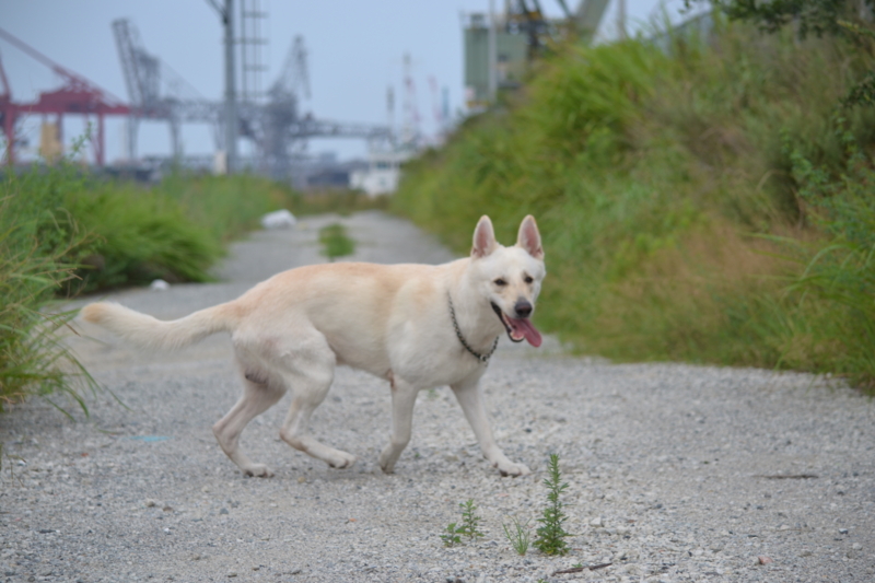 f:id:reeyan:20110724091337j:image f:id:reeyan:20110724091337j:image