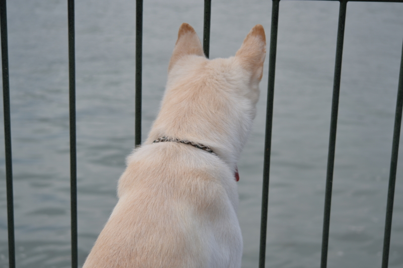 f:id:reeyan:20110724091541j:image f:id:reeyan:20110724091541j:image