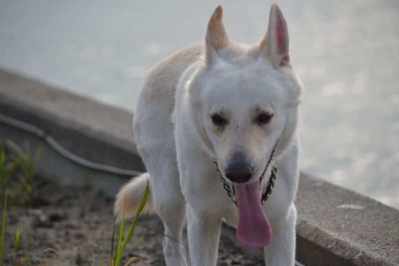 f:id:reeyan:20110724093018j:image f:id:reeyan:20110724093018j:image
