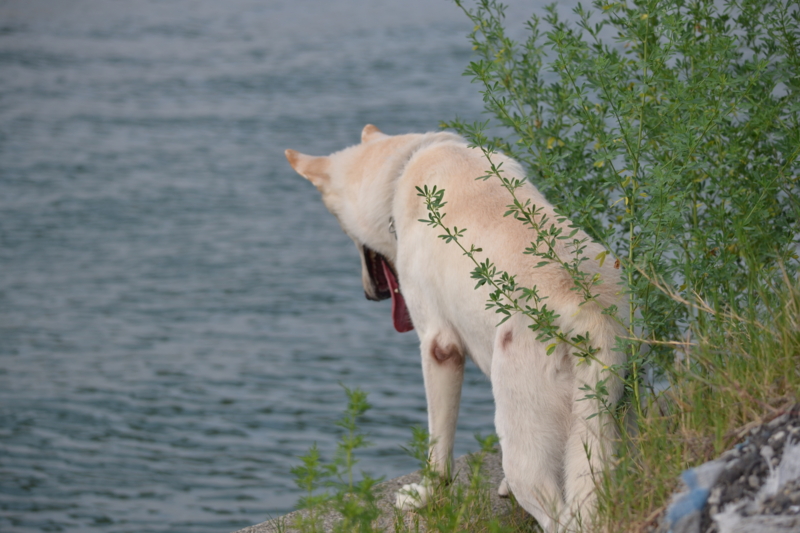 f:id:reeyan:20110724093055j:image f:id:reeyan:20110724093055j:image