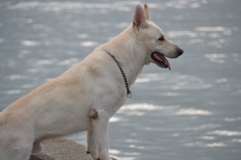 f:id:reeyan:20110724093114j:image f:id:reeyan:20110724093114j:image