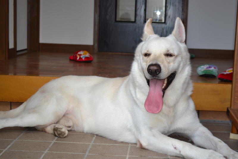 f:id:reeyan:20110806214311j:image