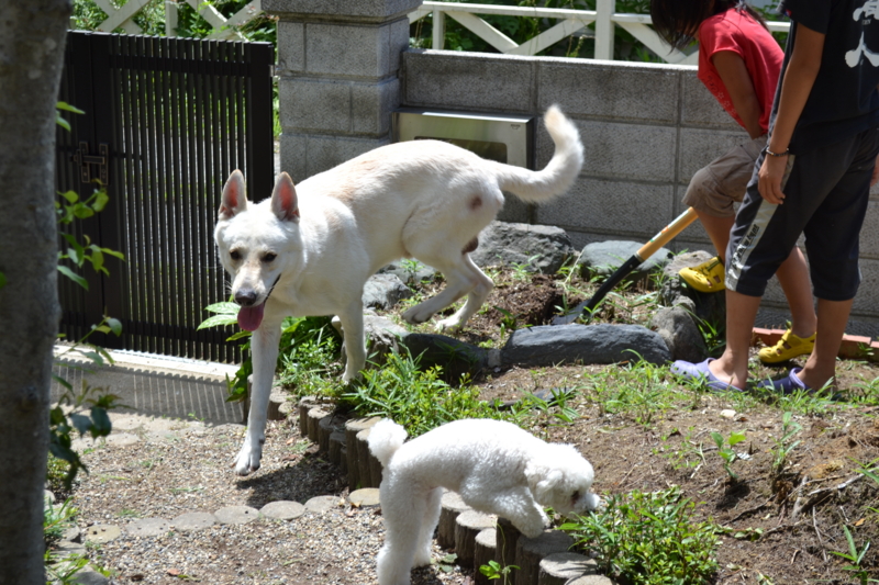 f:id:reeyan:20110806214730j:image