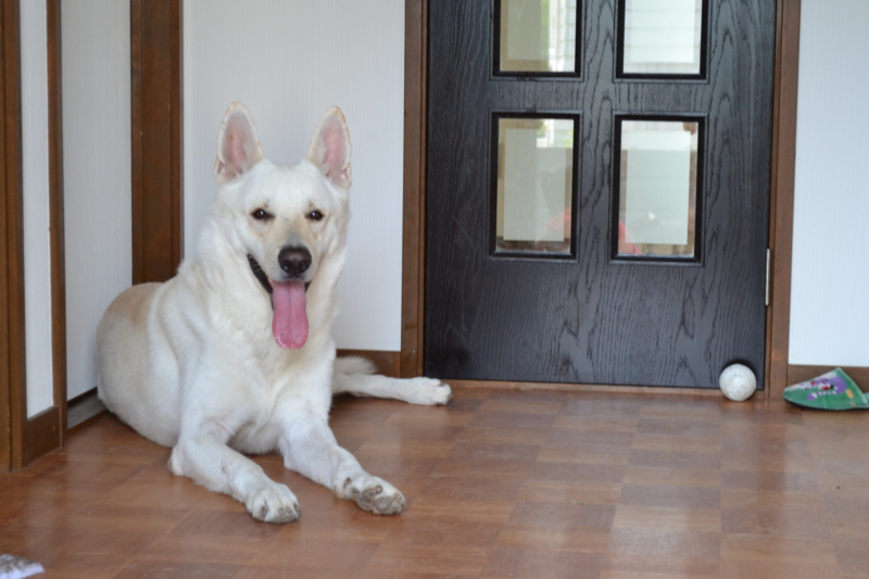f:id:reeyan:20110807145408j:image