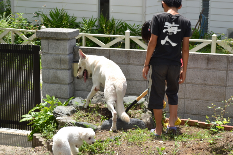 f:id:reeyan:20110807145618j:image